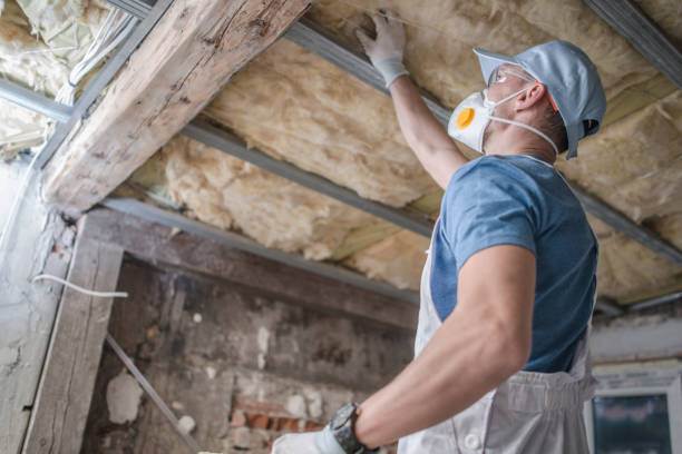 Best Geographic-Specific Insulation Services in Winchester, IL