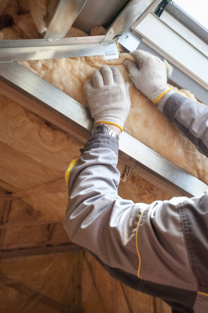 Best Cellulose Insulation in Winchester, IL